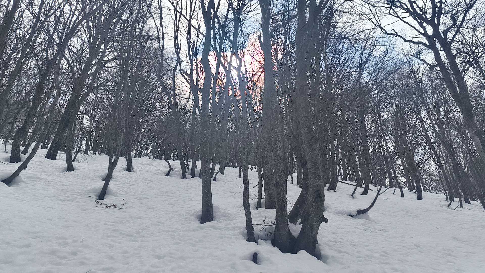 Foto n° 9 del trekking Bivacco del Gufo - Pizzo Pernice │ Alpe Curgei